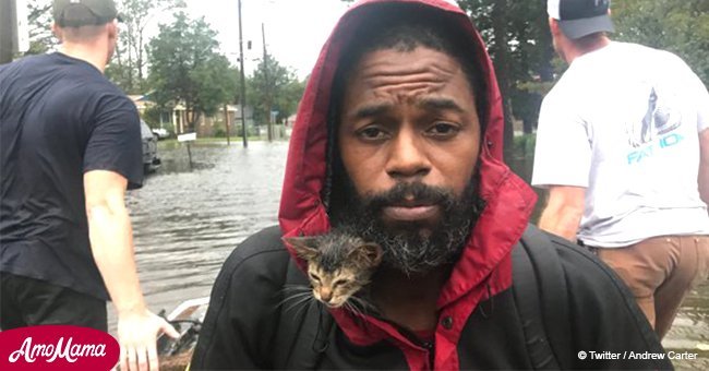 Photo of the kitten 'Survivor' sitting on his owner's shoulder quickly wins the Internet