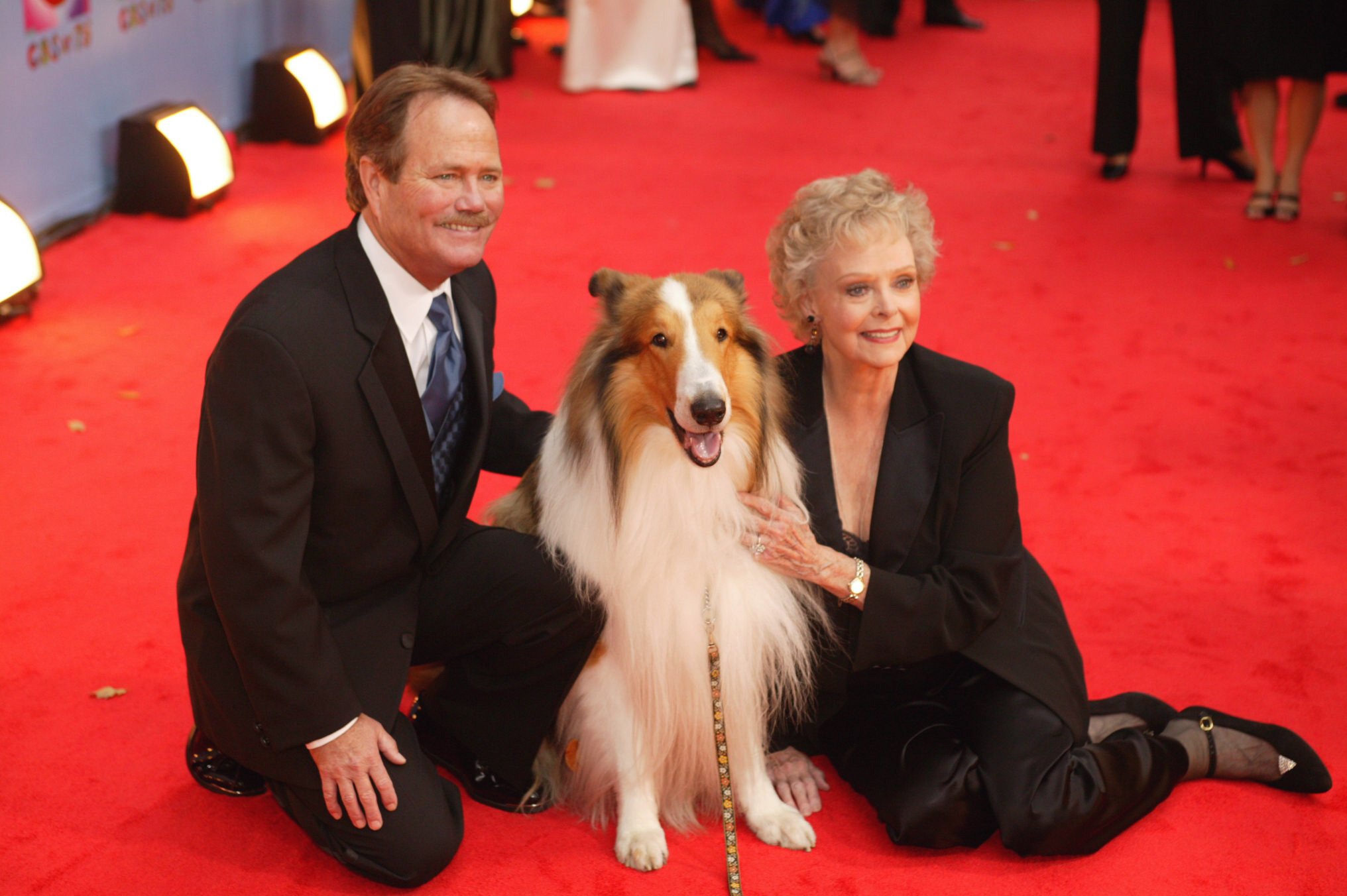 Jon Provost, Howard, best known as Lassie, and June Lockhart, in New York at the 75th anniversary of CBS television on November 2, 2003. | Source: Craig Blankenhorn/CBS Photo Archive/Getty Images