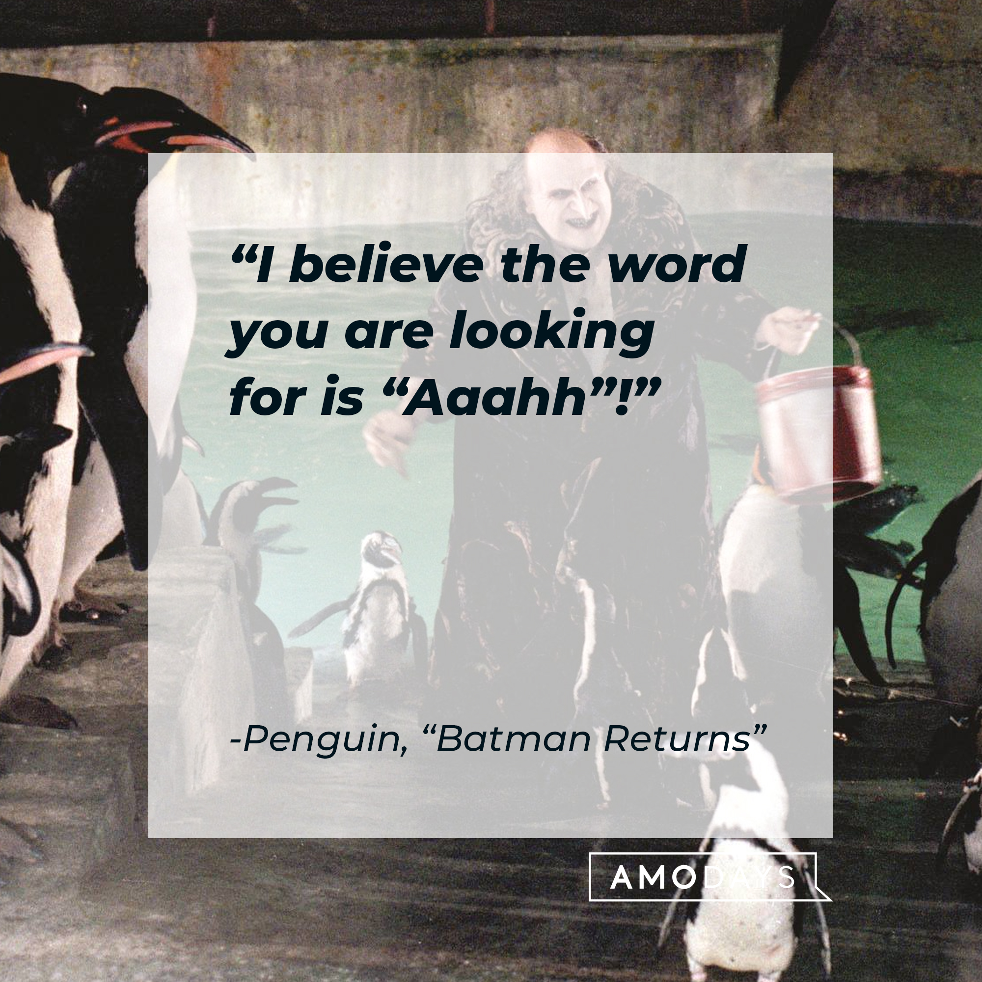 Penguin's quote from "Batman Returns" : "I believe the word you are looking for is "Aaahh!" | Source: facebook.com/BatmanReturnsFilm