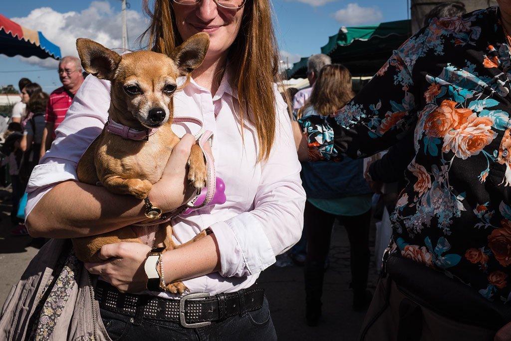 Mujer con su perro en la calle |Foto: Flickr