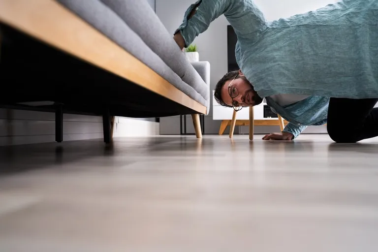 Photo d'un homme cherchant sous un canapé | Photo : Shutterstock