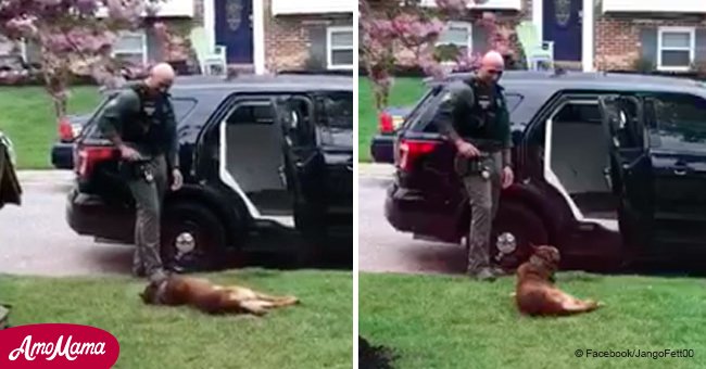 K9 officer refuses to go to work before receiving special treat from owner