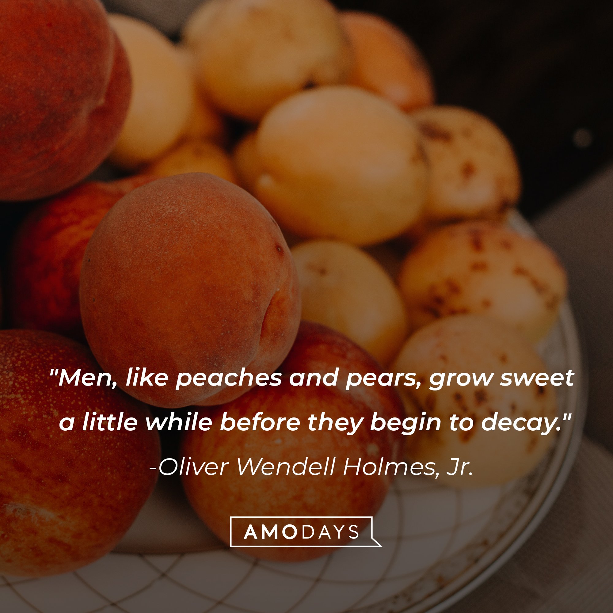 Oliver Wendell Holmes, Jr.'s quote: "Men, like peaches and pears, grow sweet a little while before they begin to decay." | Image: AmoDays