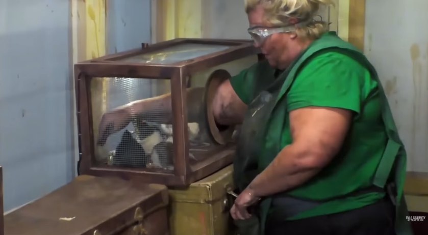 Gemma Collins reaches into a box filled with live animals, carefully searching for gold nuggets as creatures move around her arm during the final challenge. | Source: YouTube/ I'm A Celebrity... Get Me Out Of Here!