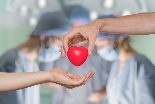 Konzept der Herztransplantation und Organspende | Quelle: Shutterstock