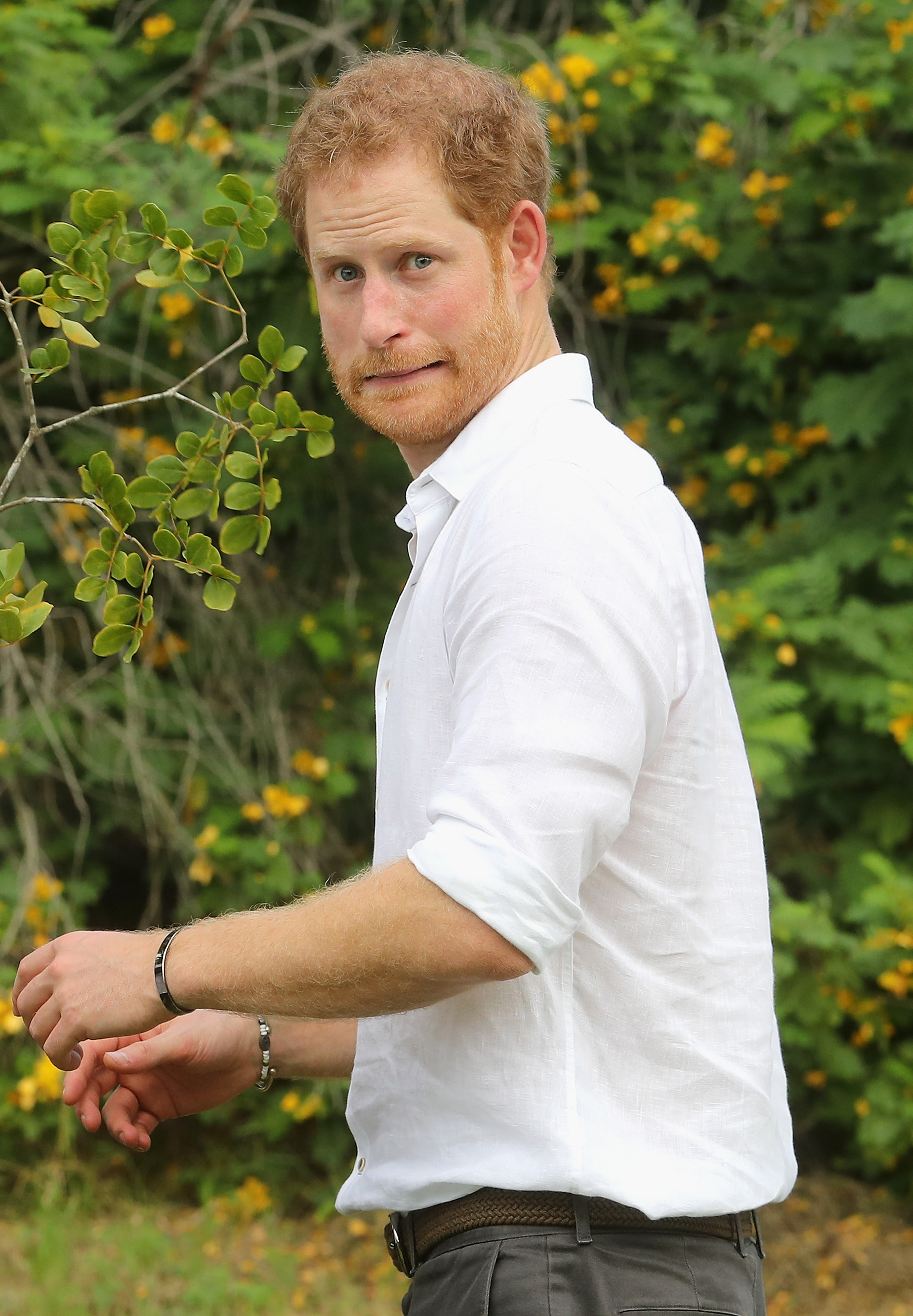 Prince Harry plants a tree on November 22, 2016 | Source: Getty Images