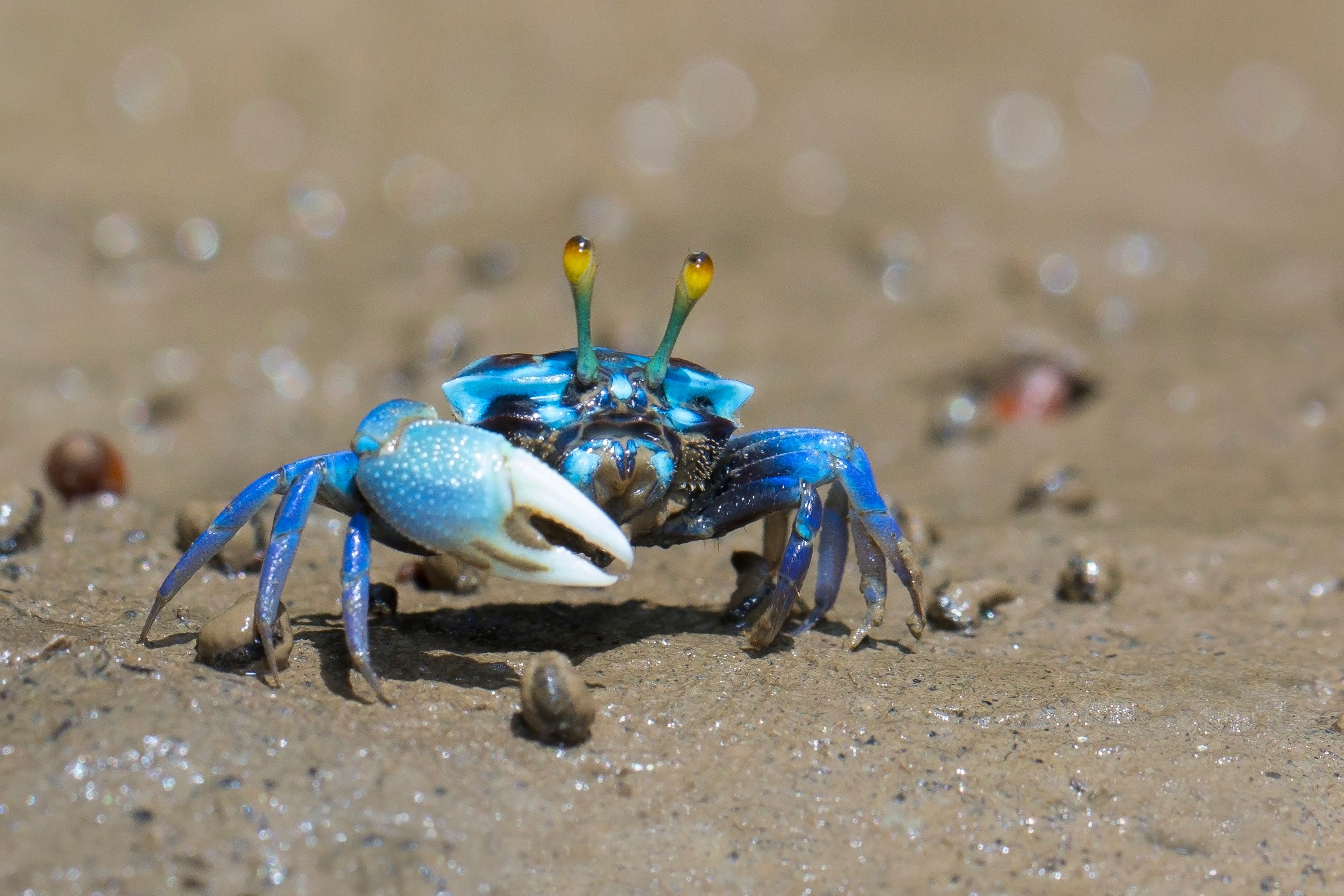 Image source: shutterstock