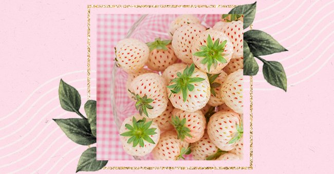 How To Grow Pineapple Strawberries