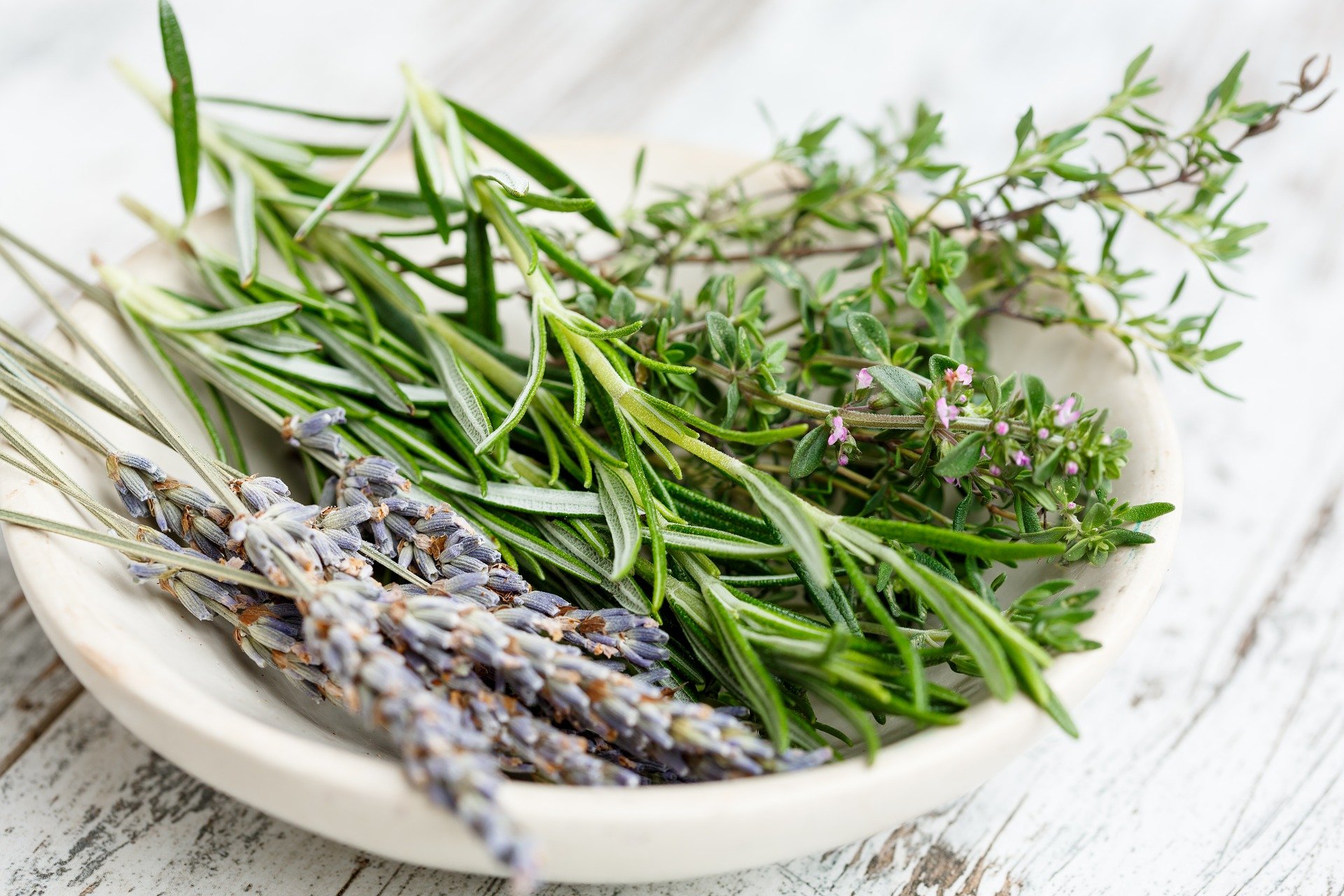 Rosemary and other herb stems sitting on a white plate | Photo: Pixabay/gate74