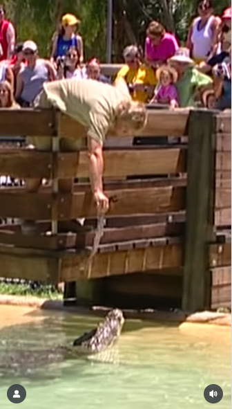 Steve Irwin reaching down to a crocodile with a piece of meat in his hand. | Source: Instagram/robertirwinphotography