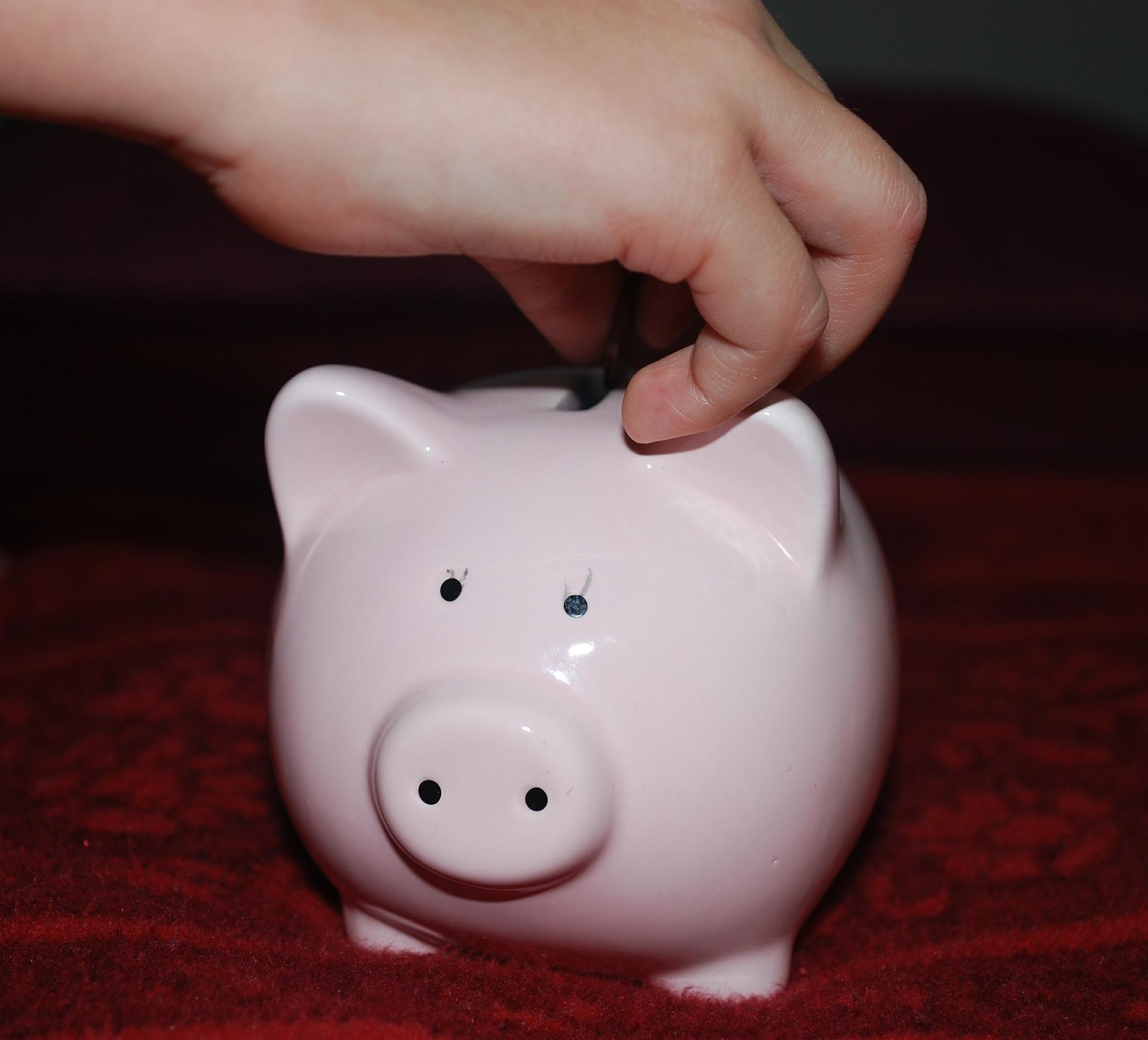 Tommy kept all his daily savings in a piggy bank. | Source: Pixabay