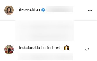 A fan's comment on Simone Biles' Instagram post. | Photo: Instagram/simonebiles