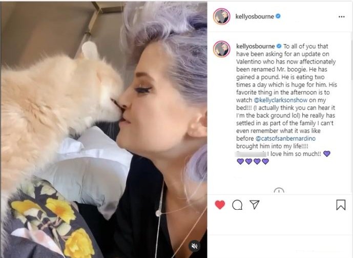 Screenshot from the clip showing Kelly Osbourne and her cat Mr. Boogie (formerly known as Valentino) in October 2020. I Image: Instagram/ kellyosbourne