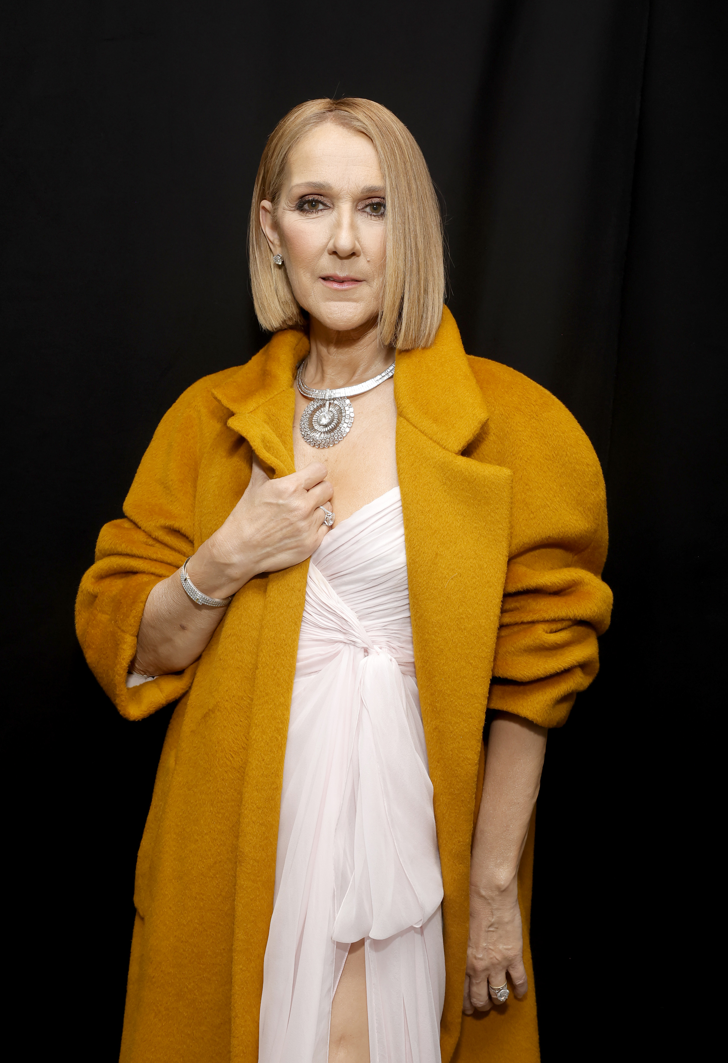 Celine Dion poses at the 66th Annual Grammy Awards at the Crypto.com Arena in Los Angeles on February 4, 2024. | Source: Getty Images