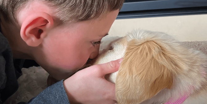 Paxton kisses his new furry friend on the nose. | Photo: youtube.com/WCCO - CBS Minnesota
