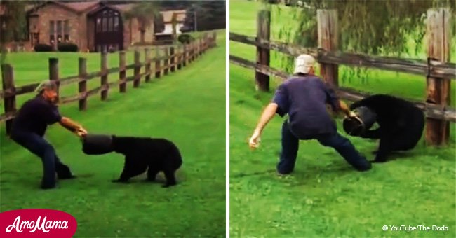 Video shows daring rescue effort of a bear with a bucket stuck on his head