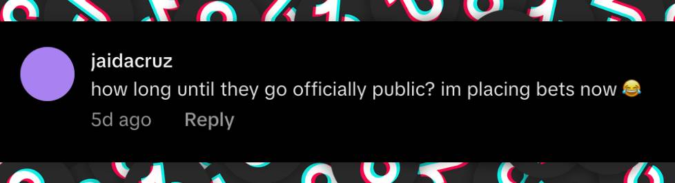 A netizen's comment on the rumored couple, dated November 12, 2025 | Source: TikTok/@deadline