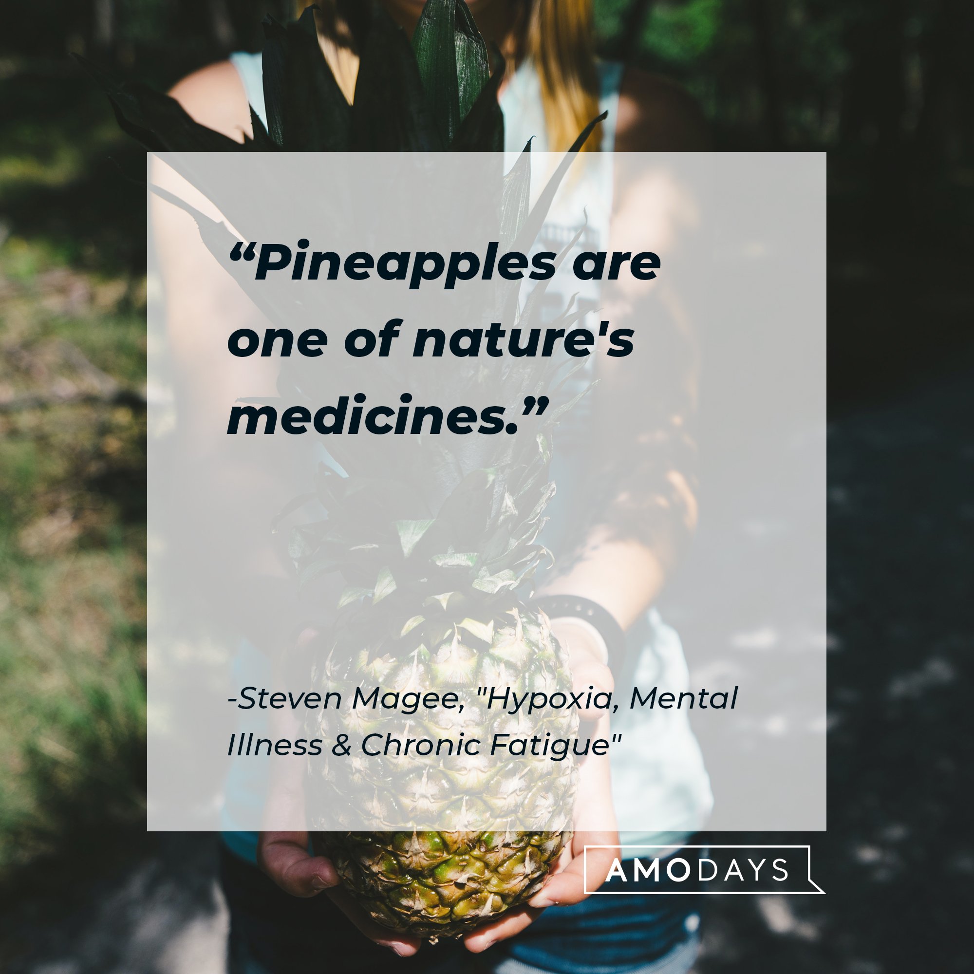 Steven Magee's "Hypoxia, Mental Illness & Chronic Fatigue" quote: "Pineapples are one of nature's medicines." | Image: AmoDays