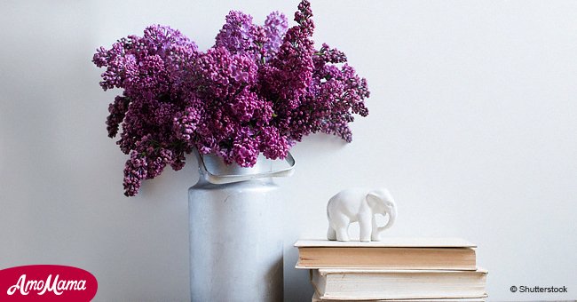 Lilas : 6 conseils pour rester beau