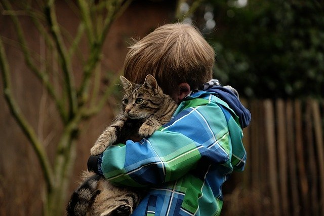 Niño abrazando a un gato. │ Foto:Pixabay