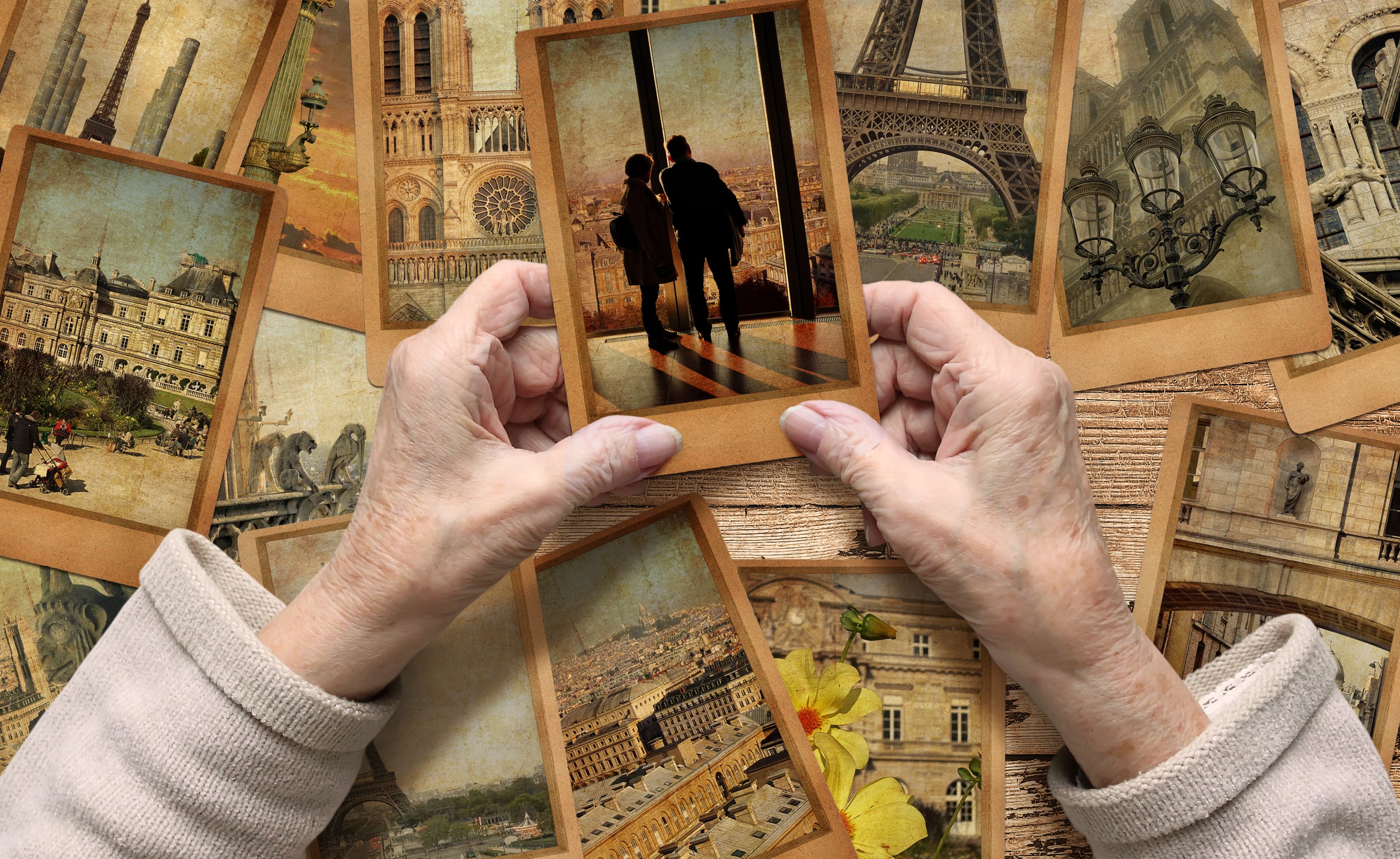 Image Credit: shutterstock