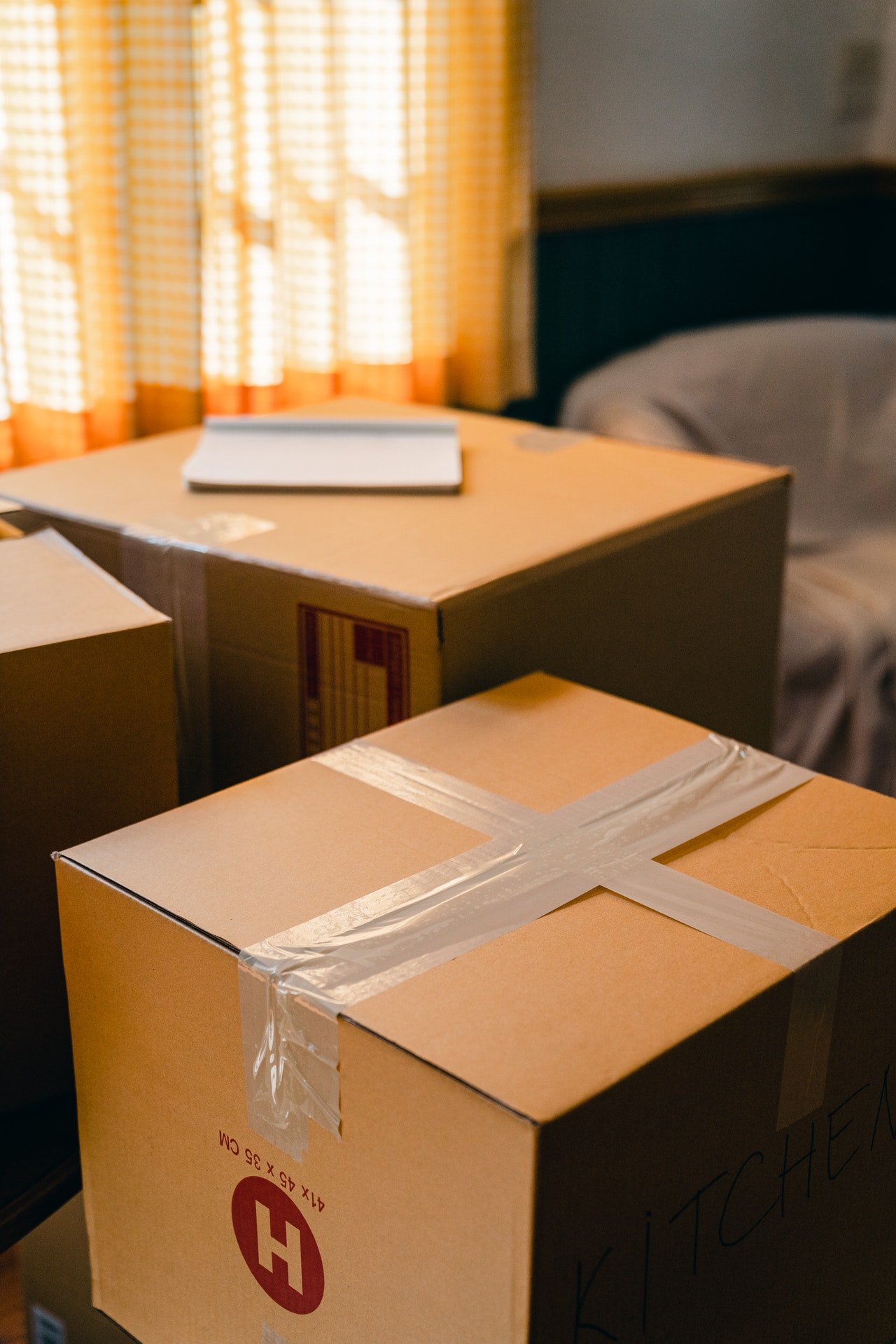 While moving to a new house, Amelia accidentally dropped the old box and its contents were revealed. | Source: Pexels