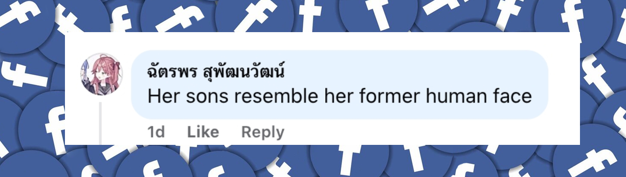 A netizen's comment about Lauren Sánchez's sons from a post dated June 28, 2025. | Source: Facebook/People