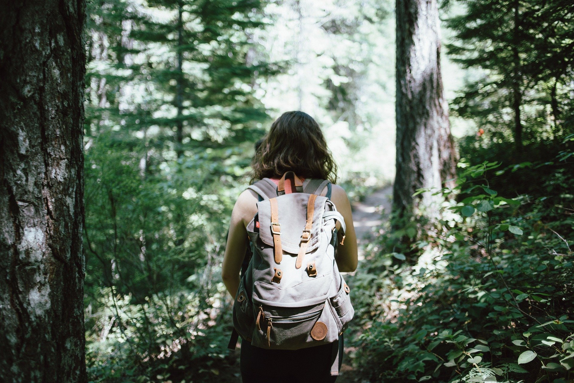 Pictured - A woman carrying a gray backpack walking in the woods | Source: Pixabay 