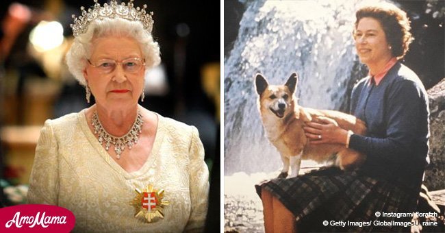 Queen 'hit extremely hard' by death of her last beloved Royal corgi