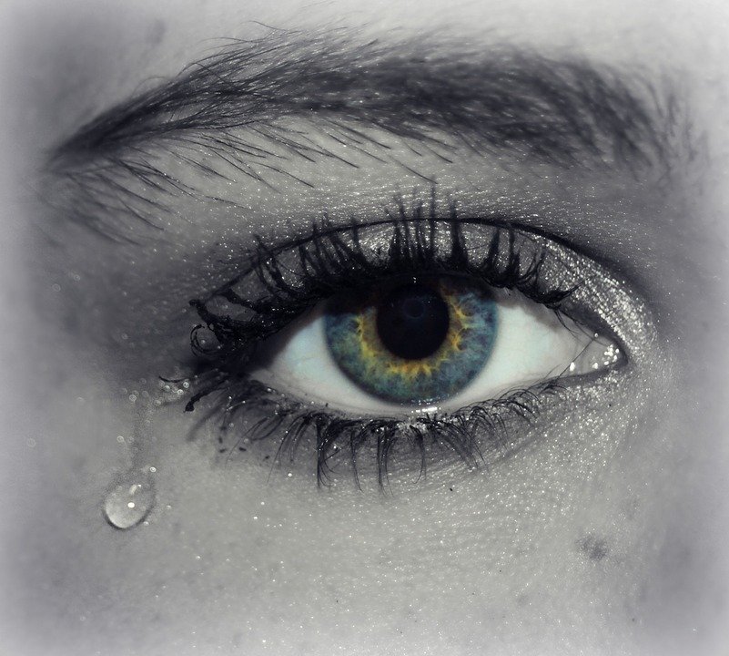 Image Credit: Pixabay