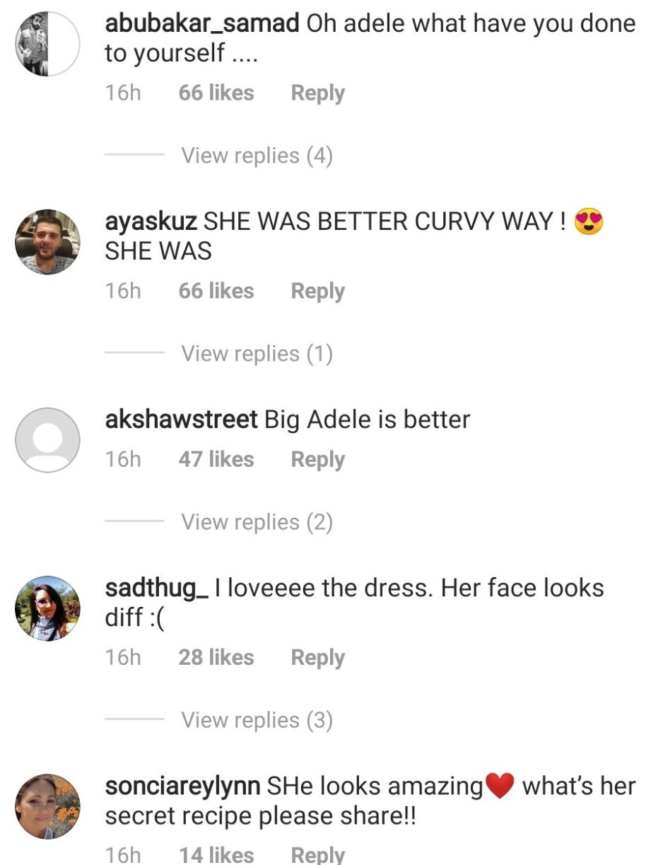 Persons comment on new Adele photo | Photo: Instagram/ dailymail