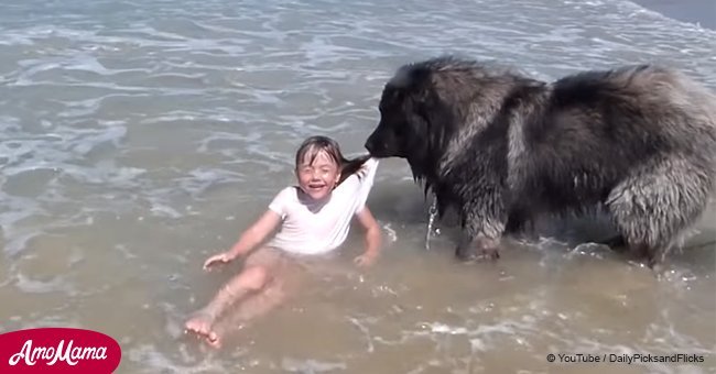 Hilarious moment dog rescues girl in the sea after assuming she’s in trouble