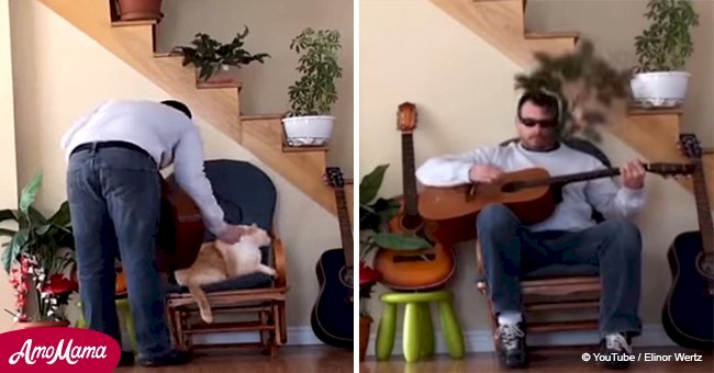 Сat was rudely kicked out of a chair by its owner, but moments later, the pet took revenge