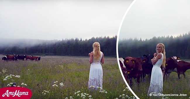 Woman starts singing an ancient song and cows' reactions to her singing quickly goes viral