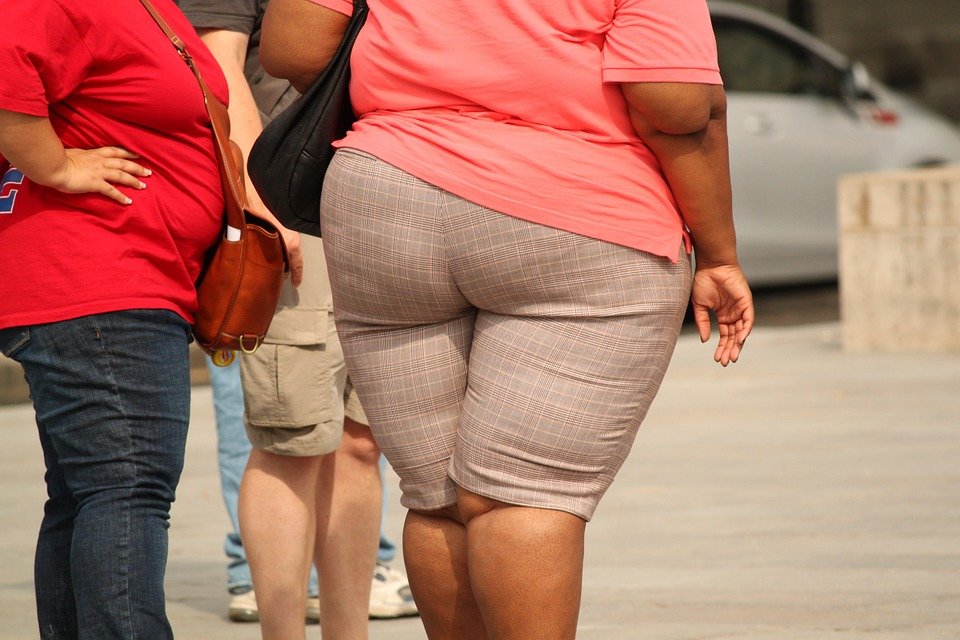 Mujer con sobrepeso│ Imagen tomada de: Pixabay