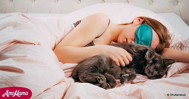 Mirror UK: Sleeping next to cats carries the risk of serious disease