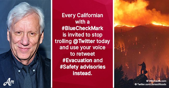 James Woods calls everyone to stop trolling and start helping victims of California inferno