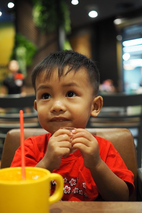 Niño comiendo en un restaurante. | Imagen: Pixabay Niño comiendo en un restaurante. | Imagen: Pixabay