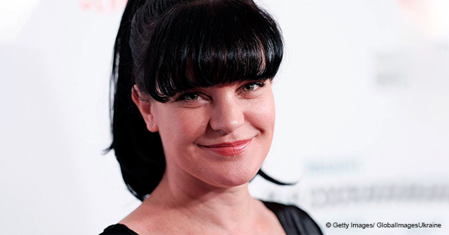 NCIS Pauley Perrette Gives an Update on Her Life, and Fans Are Excited