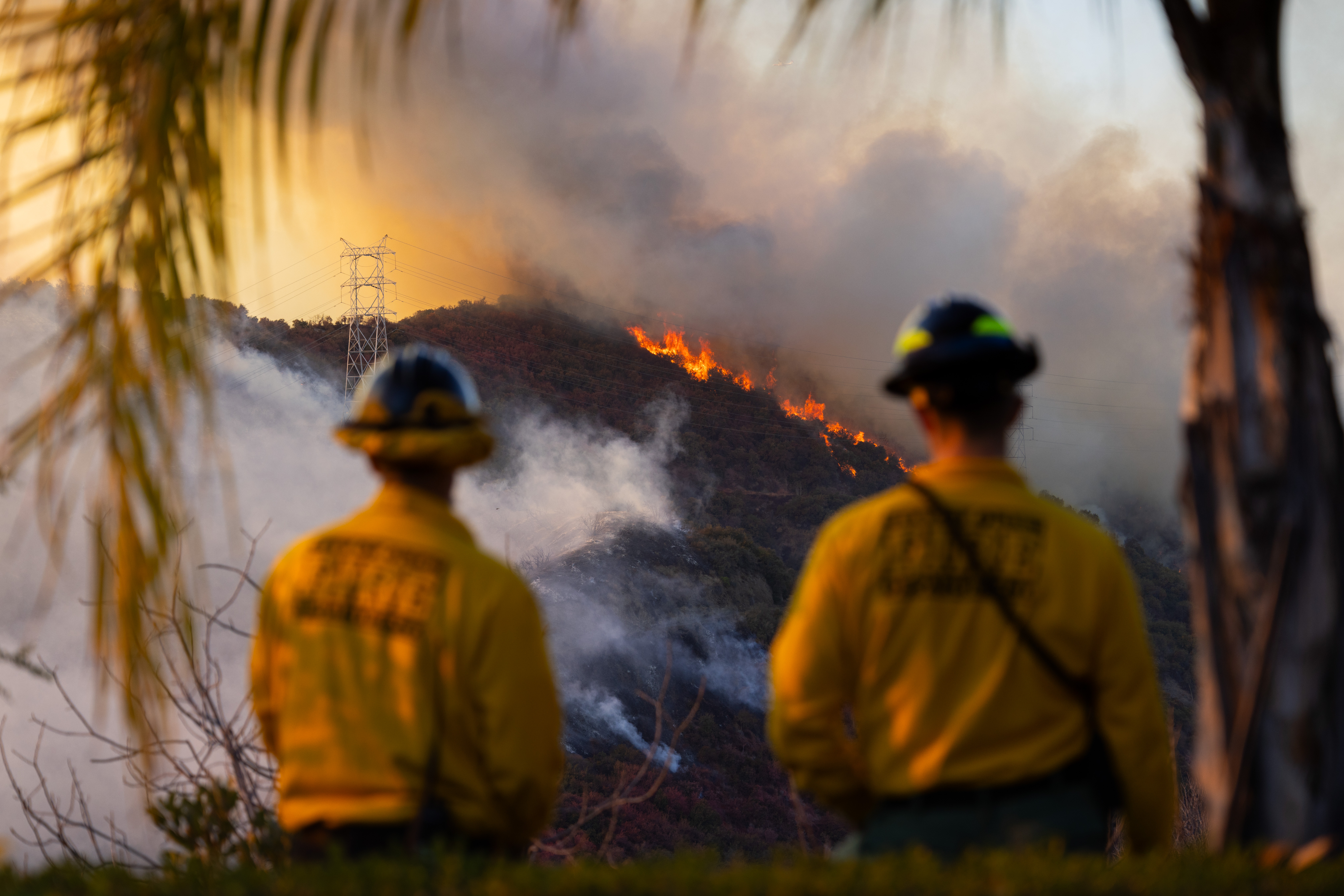 Firefighters from Orem, Utah keep an eye on the Palisades Fire, along Mandeville Canyon in the Brentwood community of Los Angeles, California, on January 11, 2025 | Source: Getty Images