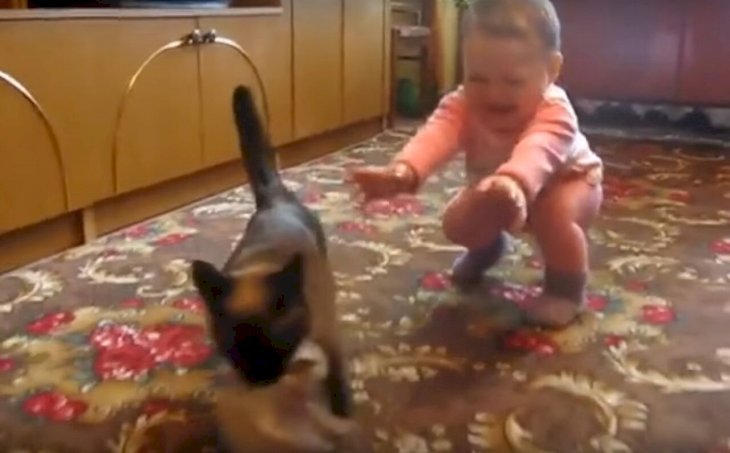 Fuente: Youtube/Rumble Viral
