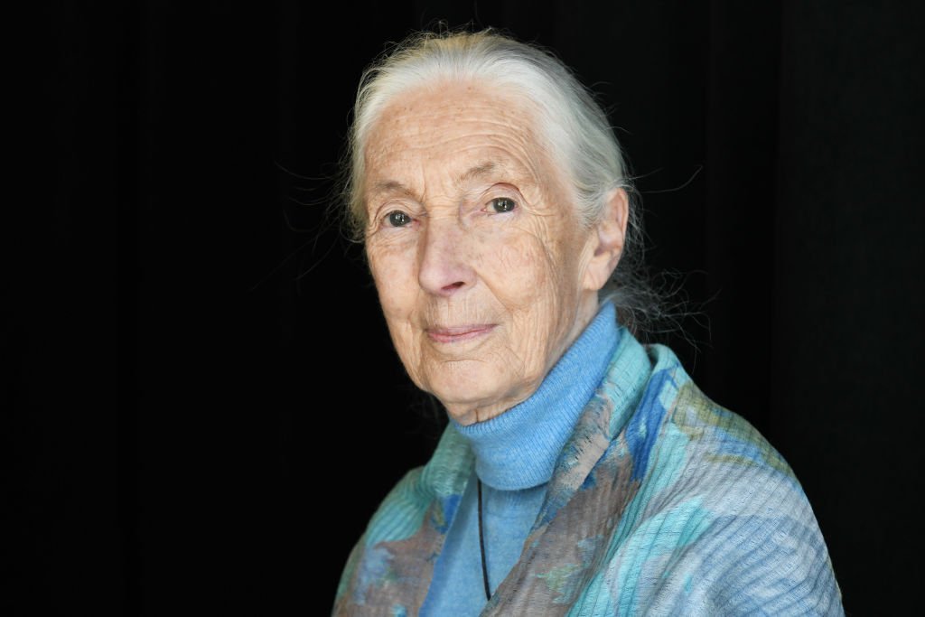 Dr. Jane Goodall attends the TIME 100 Summit 2019 | Photo: Getty Images