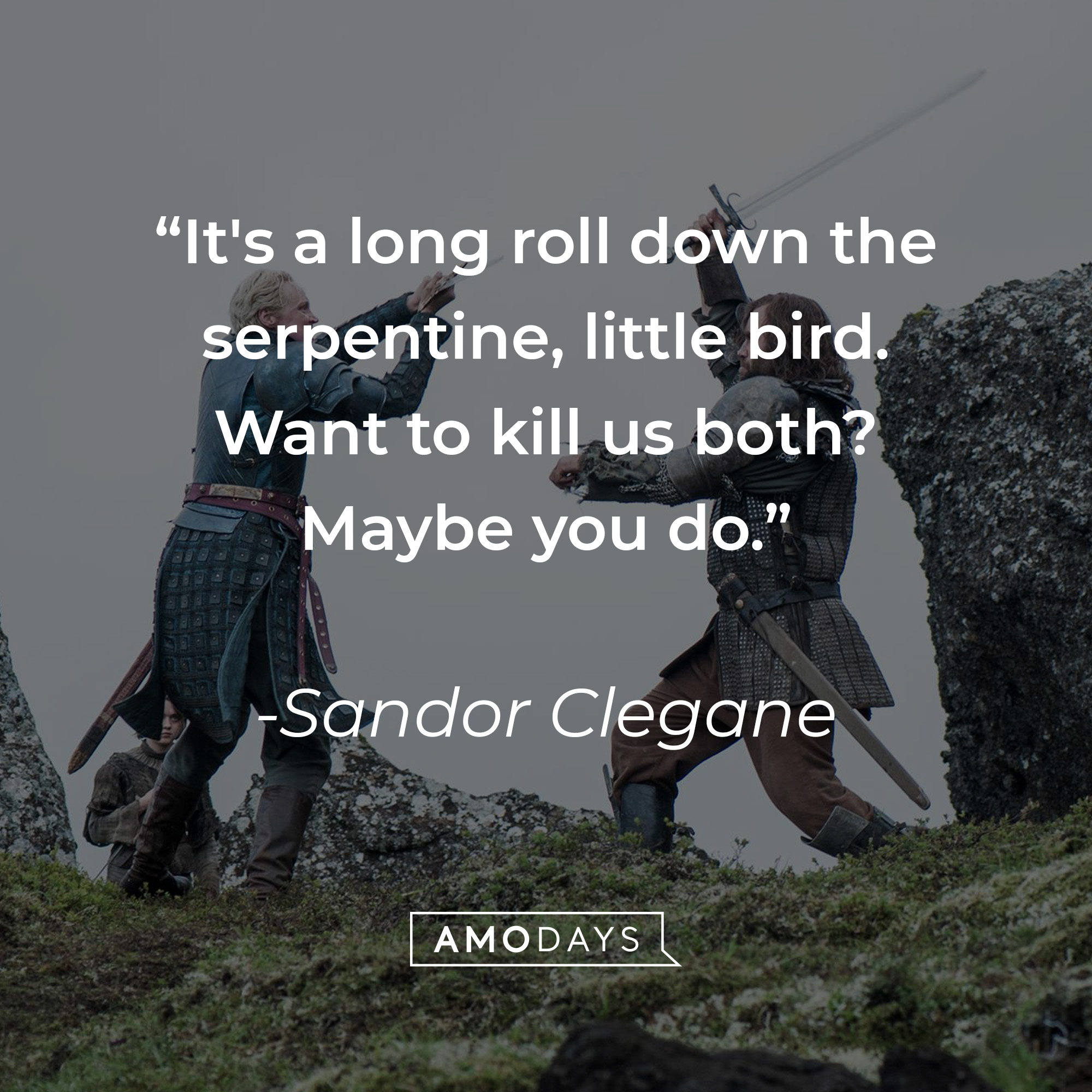 Sandor Clegane's quote: "It's a long roll down the serpentine, little bird. Want to kill us both? Maybe you do." | Source: facebook.com/GameOfThrones