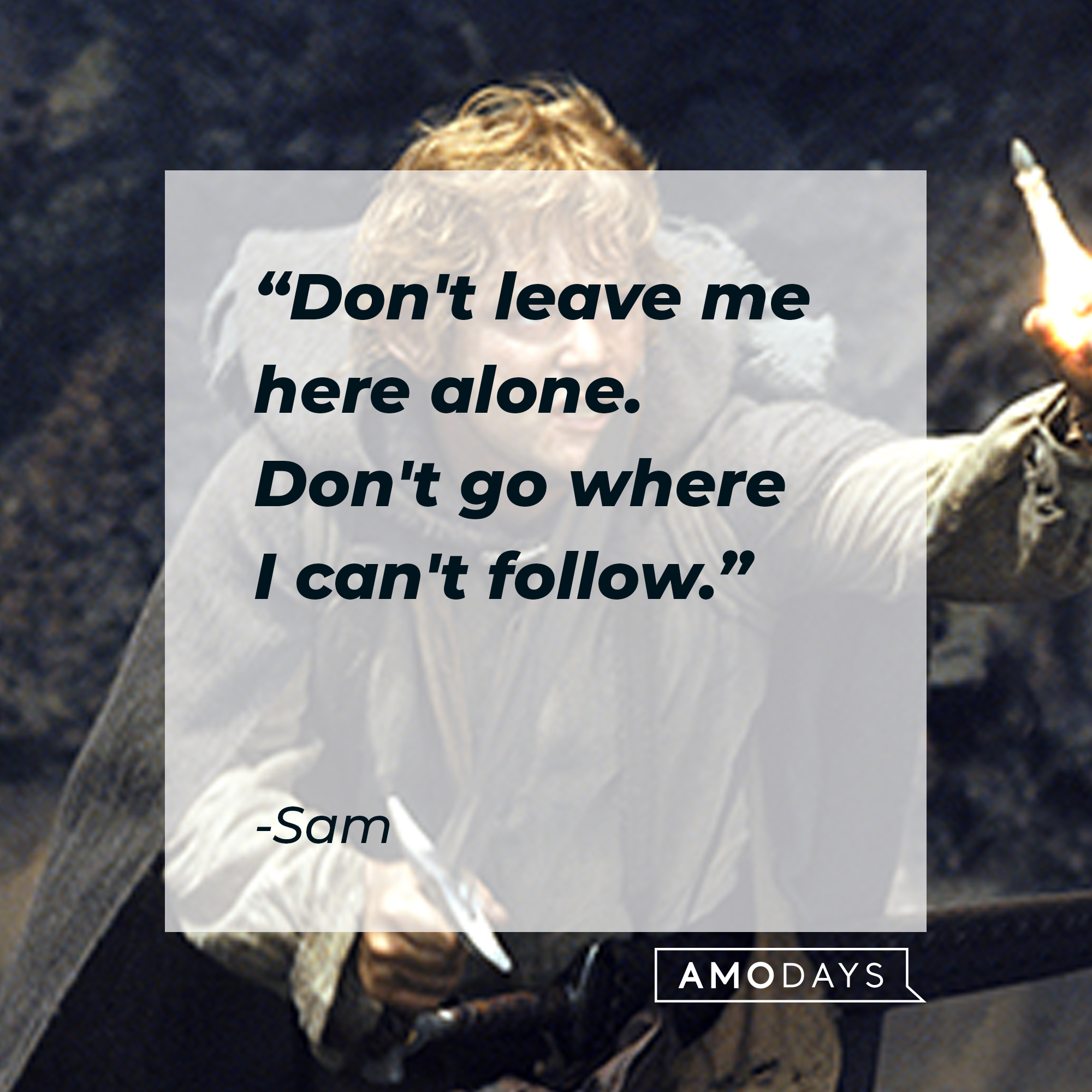 Sam's quote: “Don't leave me here alone. Don't go where I can't follow.” | Source: facebook.com/lordoftheringstrilogy