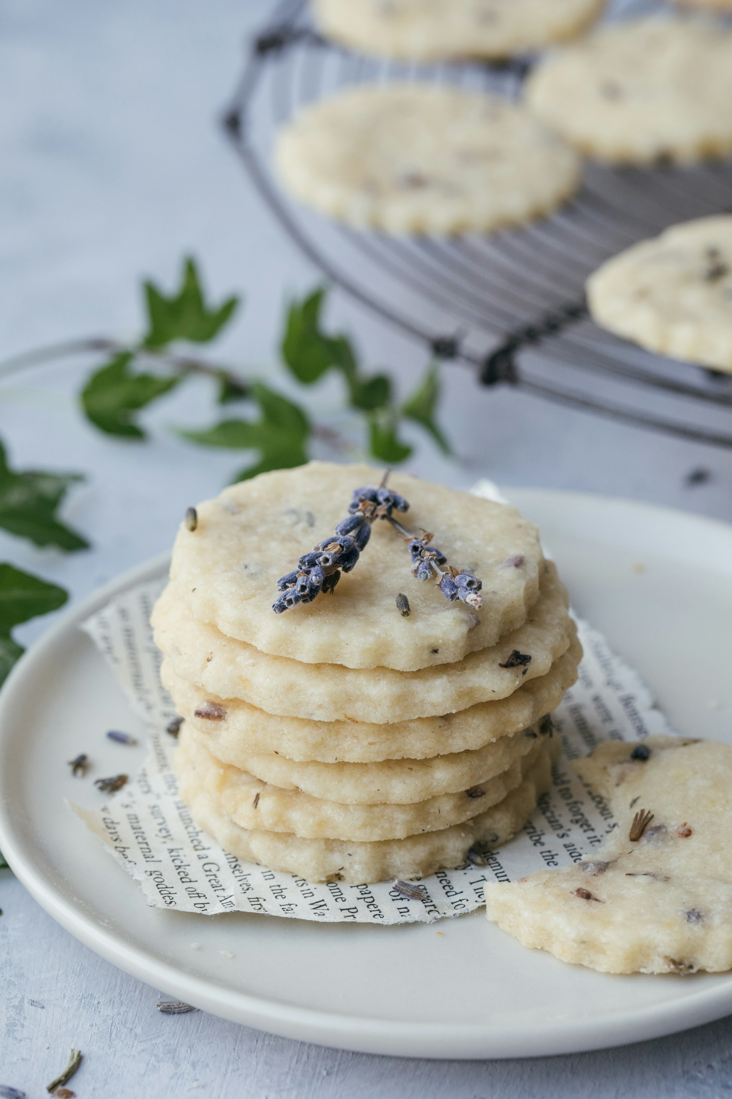 Shortbread cookies on a plate | Source: Unsplash