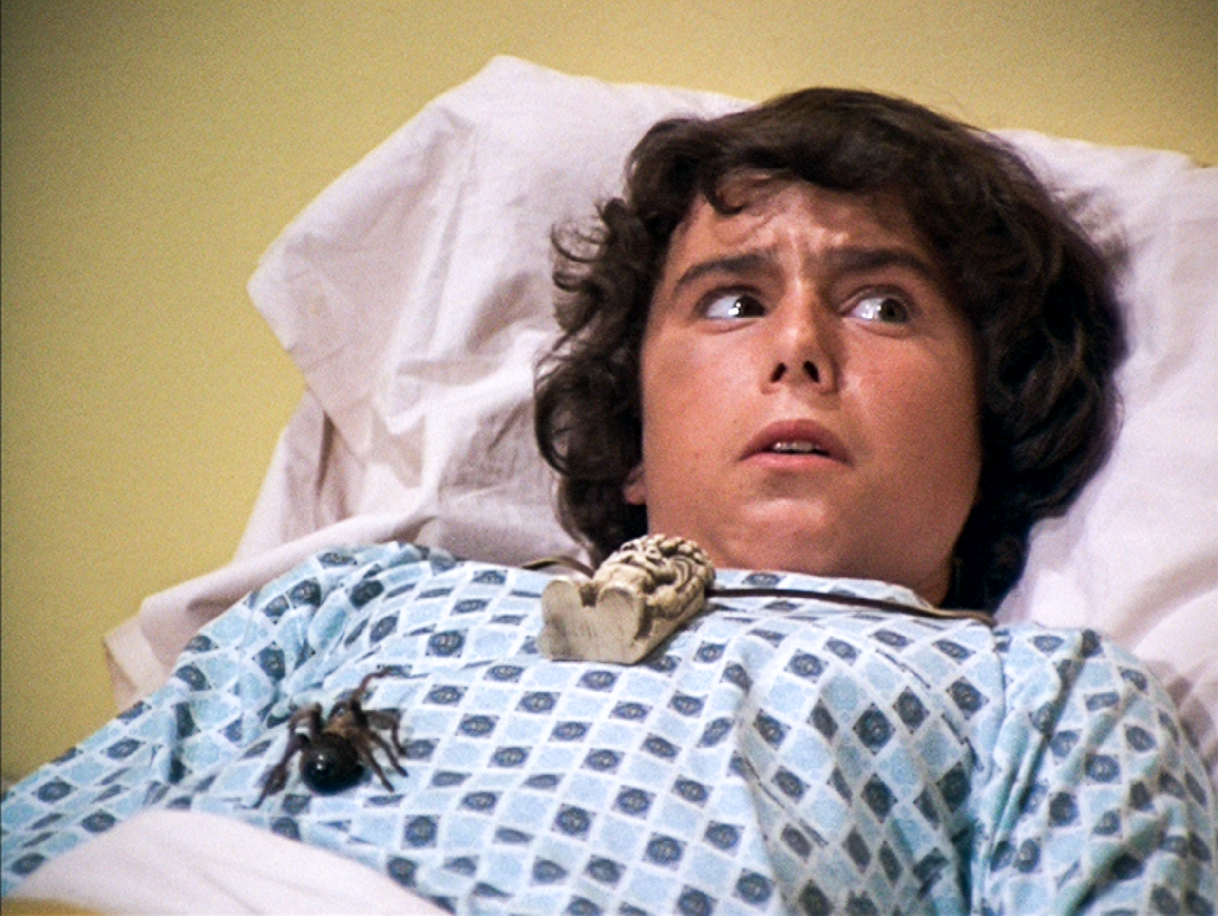 Christopher Knight in "The Brady Bunch" in 1972 | Source: Getty Images