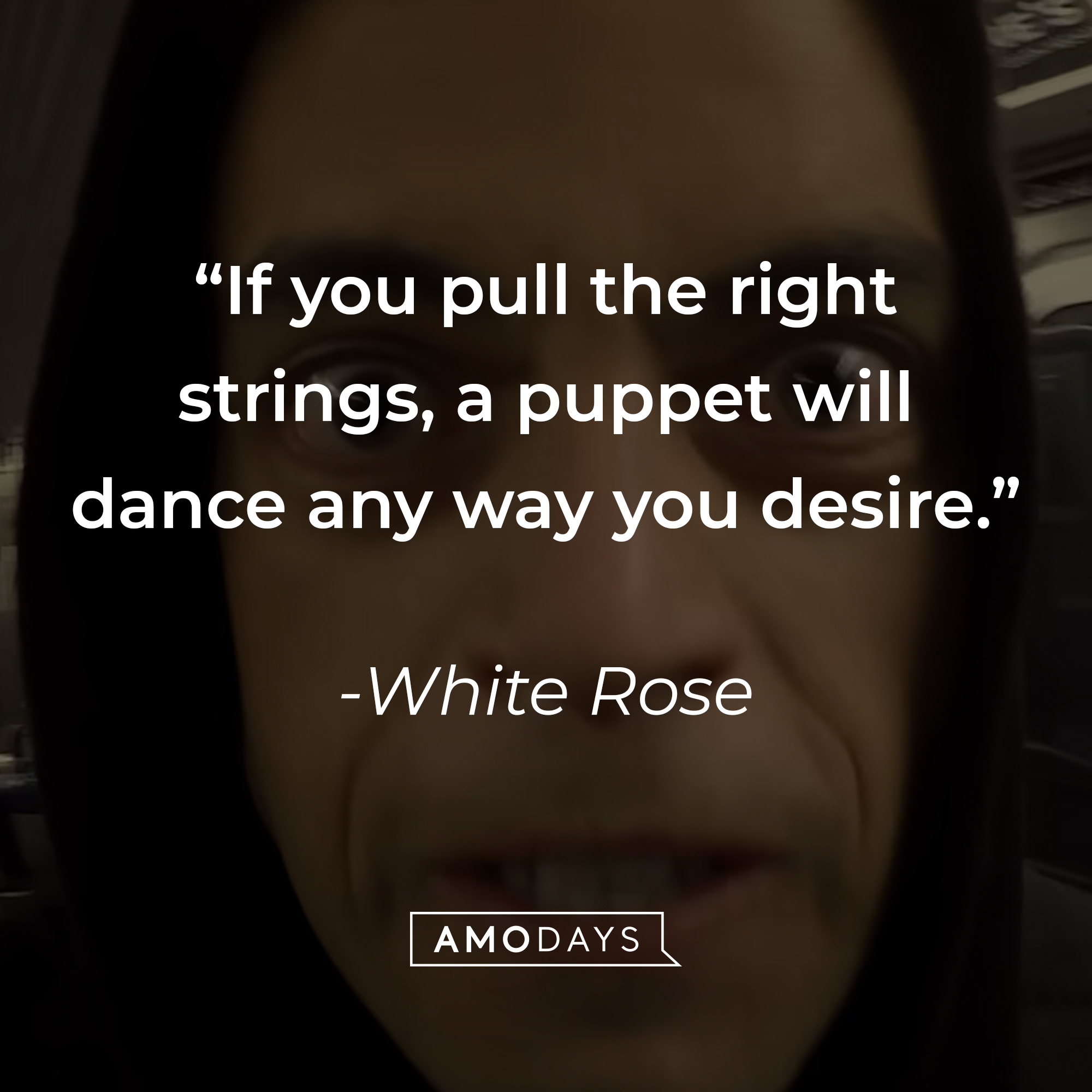 White Rose's quote: "If you pull the right strings, a puppet will dance any way you desire." | Source: youtube.com/MrRobot