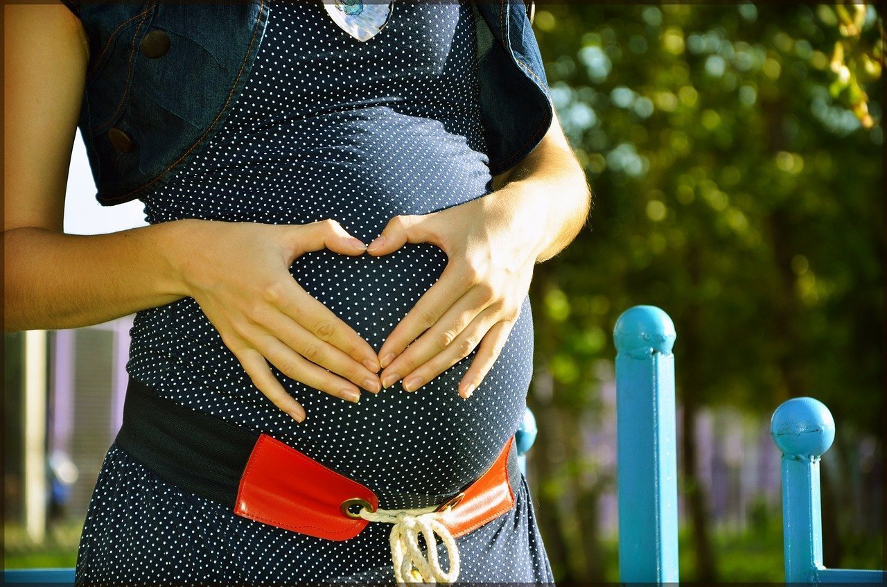A pregnant woman | Image credit: Pixabay