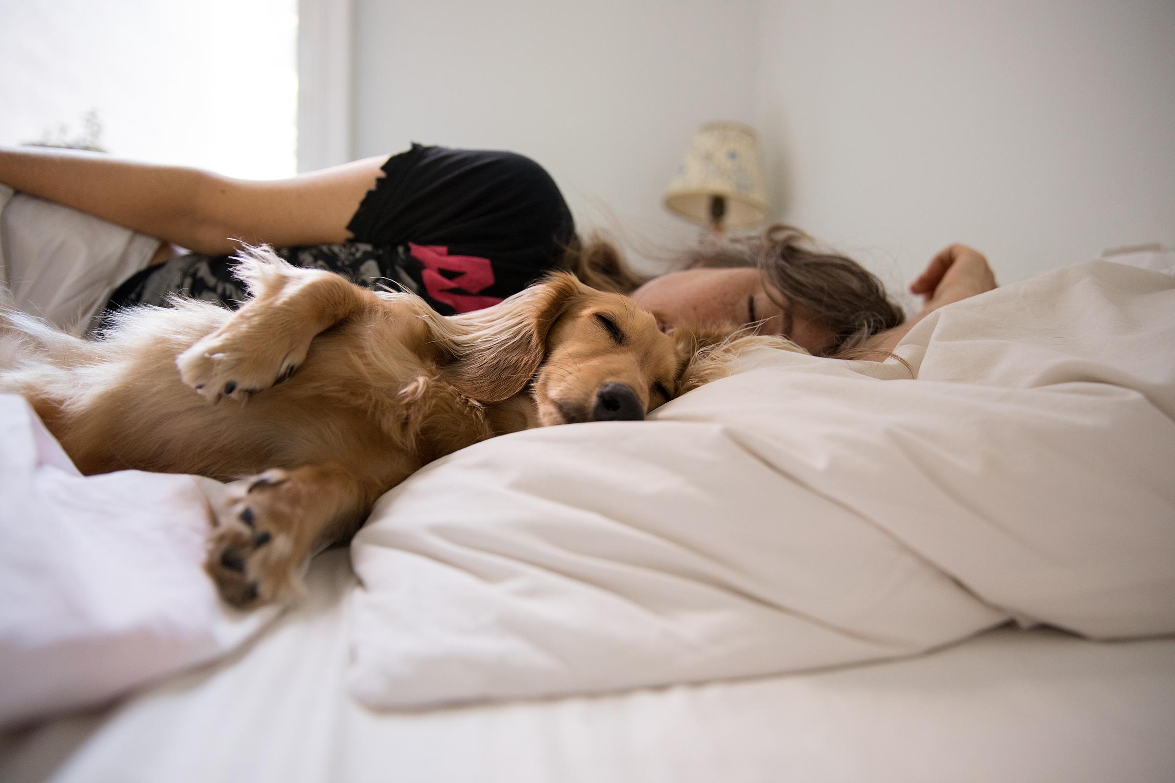 A woman and her dog sleeping in bed | Source: Getty Images