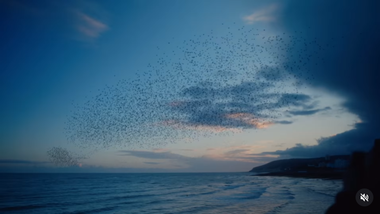 A screengrab of Kate Middleton's video, dated 9 January 2026. | Source: Instagram/princeandprincessofwales